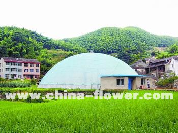 浙江省麗水農(nóng)科所研制出球狀溫室