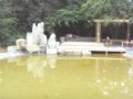 9.25山東省園博會(huì)將在青島中山公園開(kāi)幕