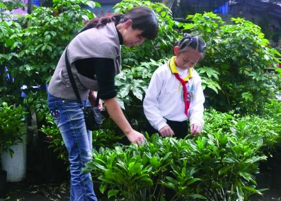 汕頭 花卉 養(yǎng)護(hù)