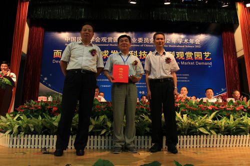 棕櫚園林 觀賞園藝 規(guī)劃設(shè)計 園藝產(chǎn)業(yè)