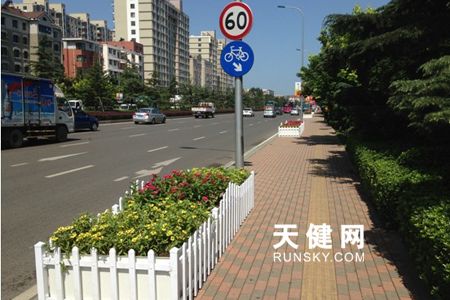 遼寧 花卉 全運(yùn)會(huì)
