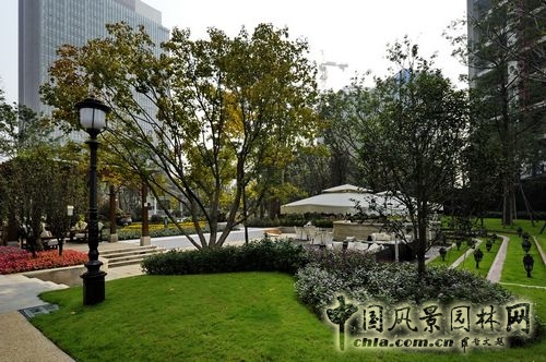 住宅景觀獎 園林景觀 成都世貿(mào) 成都世貿(mào)猛追灣項目