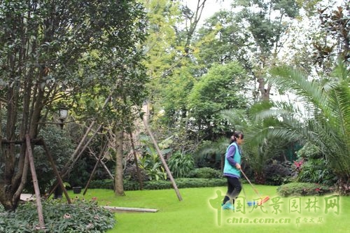 住宅景觀獎(jiǎng) 園林景觀 成都世貿(mào) 成都世貿(mào)猛追灣項(xiàng)目