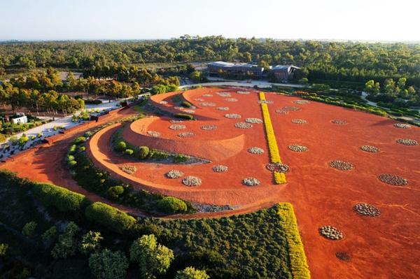 植物園 澳大利亞花園 Cranbourne皇家植物園 植物景觀