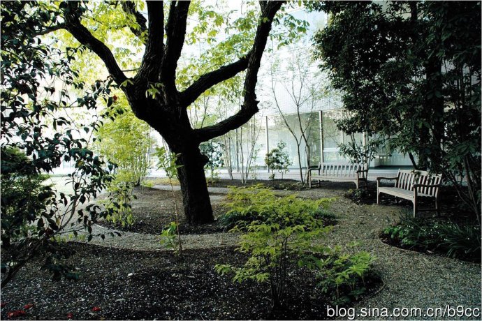 日本中部大學(xué)鏡花園