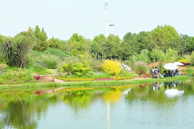 黃家湖公園河畔上，1500平方米水生植物組成武漢首個“水上花境”