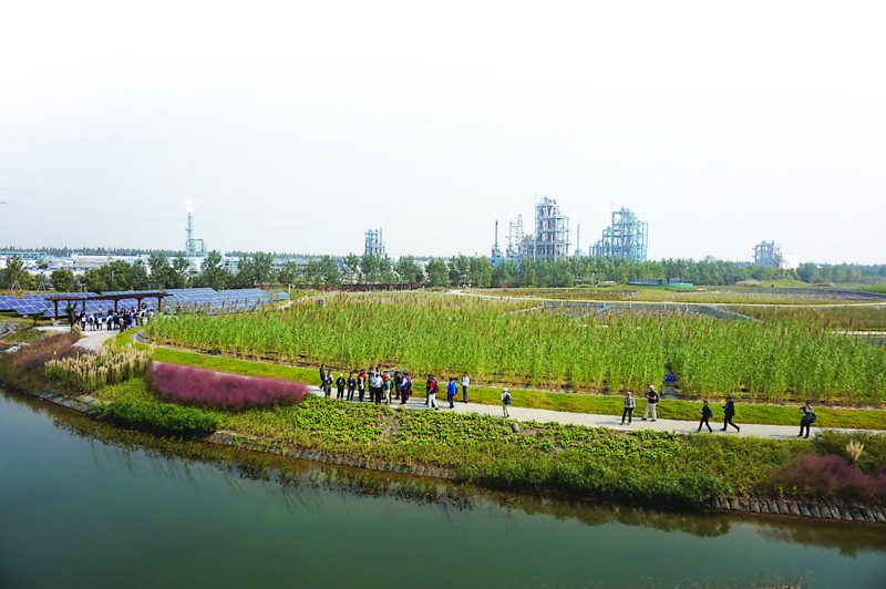 生態(tài)濕地