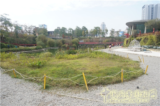 秋紅谷生態(tài)公園