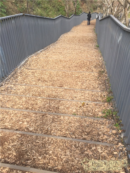 秋紅谷生態(tài)公園
