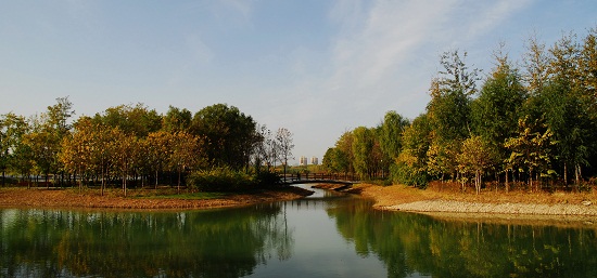 奧林匹克森林公園四標(biāo)段景觀設(shè)計