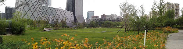 中央電視臺(tái)新臺(tái)址建設(shè)工程媒體公園設(shè)計(jì)（C標(biāo)段）