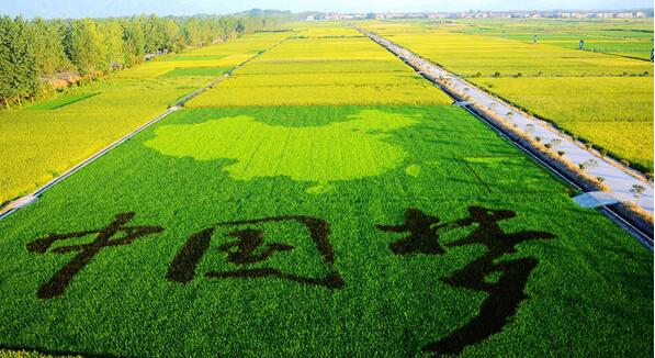 休閑農(nóng)業(yè)景觀(guān)設(shè)計(jì)之“大地藝術(shù)”