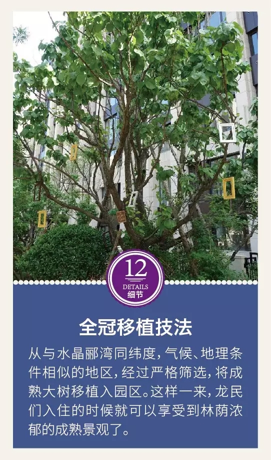 龍湖景觀設(shè)計(jì)的12個(gè)驚艷的細(xì)節(jié)