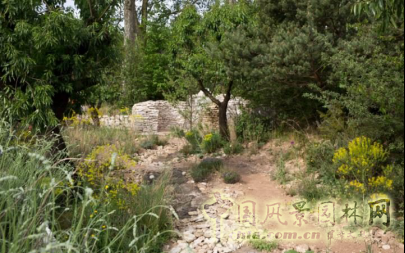 2016 Chelsea Flower Show 切爾西花展獲獎(jiǎng)作品——金獎(jiǎng)