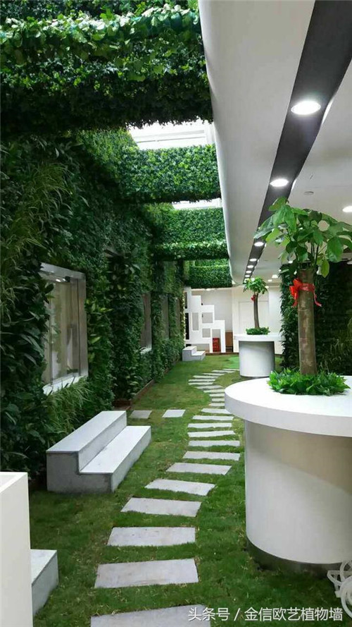 立體綠化植物墻為何這么受歡迎？