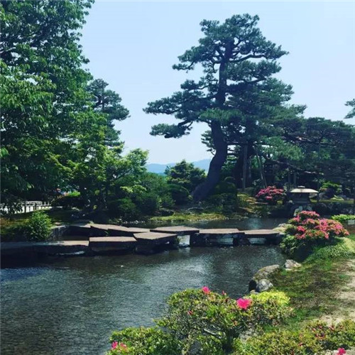 世界上這些驚為天人的植物園你都知道嗎？