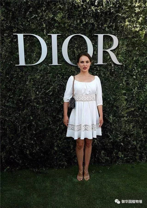 Dior70周年展，植物墻又出風(fēng)頭了！
