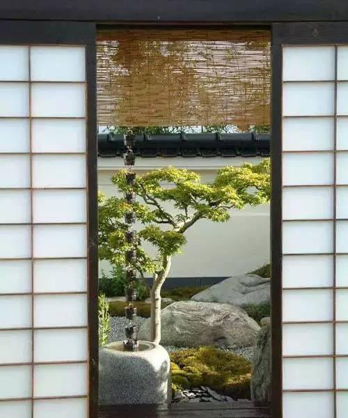 日式園林中樹的氣場