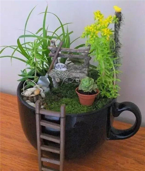 迷你微縮版花園，心都給萌化了