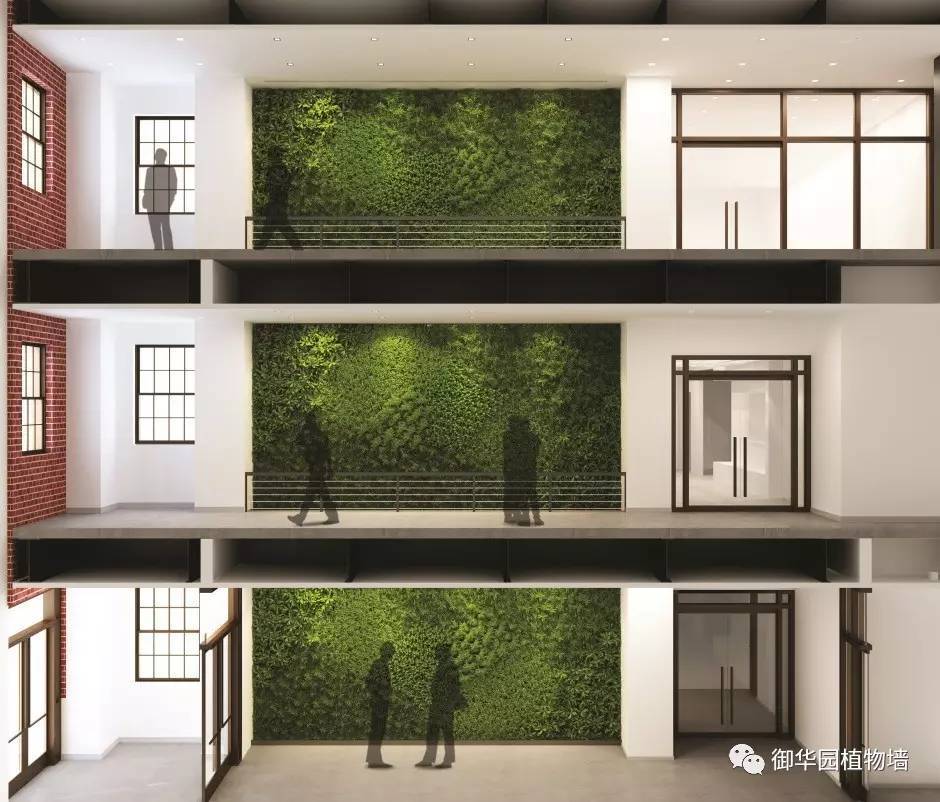 為什么植物墻效果圖不好出？