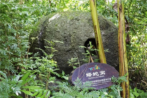  雨林谷：一個(gè)原生態(tài)的熱帶雨林植物的王國