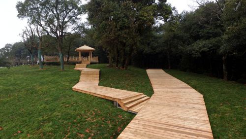 園冶杯專業(yè)獎：金溪縣香樟森林公園景觀設(shè)計