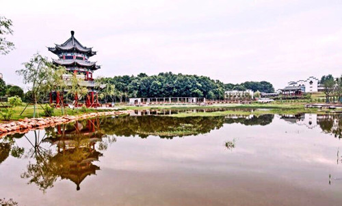 園冶杯專業(yè)獎：金溪縣香樟森林公園景觀設(shè)計