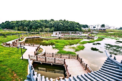 園冶杯專業(yè)獎：金溪縣香樟森林公園景觀設(shè)計