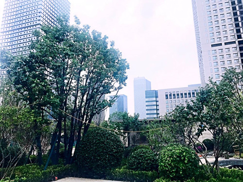 園冶杯專業(yè)獎：天津譽峰園園林景觀工程