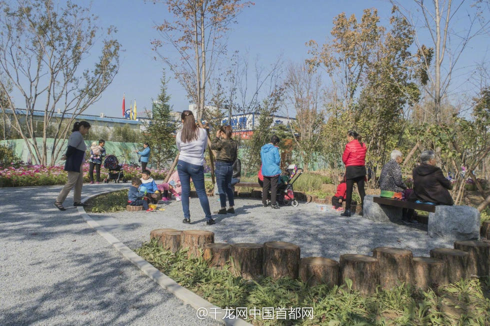 北京新街口再添城市森林公園 恢復(fù)宜居環(huán)境