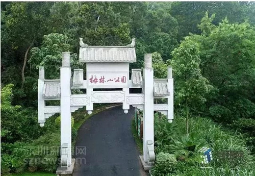 古樹寺廟和綠道，走進(jìn)梅林人的后花園