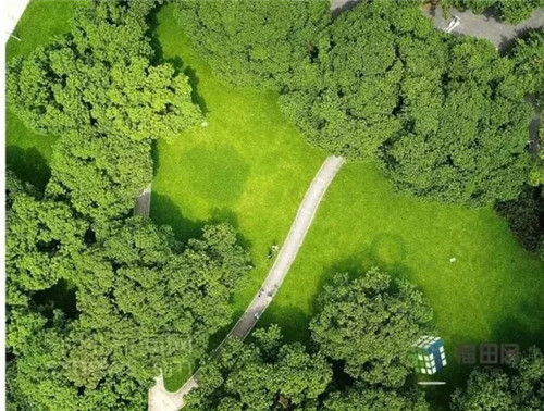 古樹寺廟和綠道，走進(jìn)梅林人的后花園
