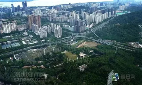 古樹寺廟和綠道，走進(jìn)梅林人的后花園