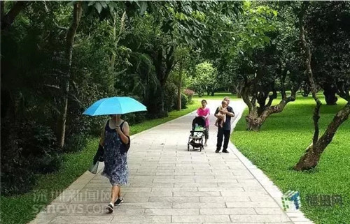 古樹寺廟和綠道，走進(jìn)梅林人的后花園