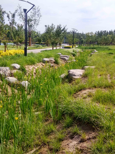 園冶杯專業(yè)獎：固安迎賓大道街角北、南公園