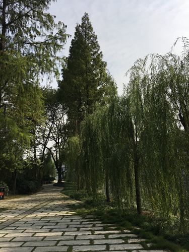 園冶杯專業(yè)獎(jiǎng)：滁州內(nèi)城河景觀改造設(shè)計(jì)