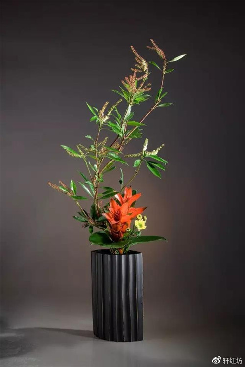 茶道，缺少插花不成雅致