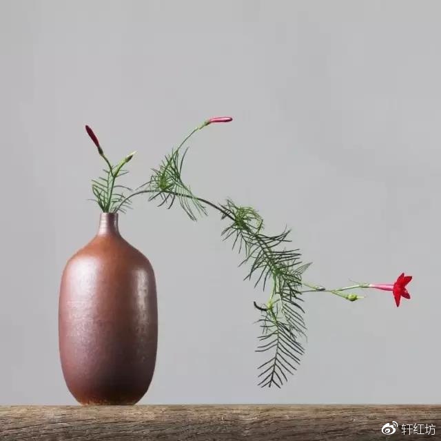 茶道，缺少插花不成雅致