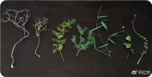 茶道，缺少插花不成雅致
