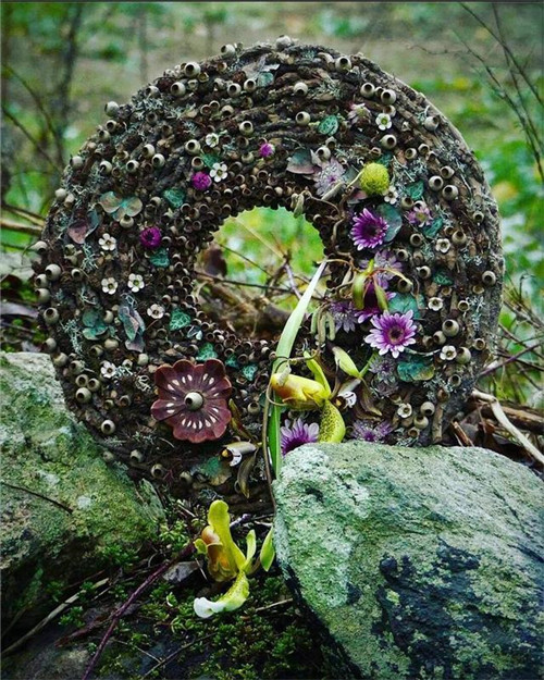 花藝的魅力：花環(huán)設(shè)計