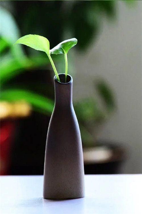 自制禪意插花，與心靈碰撞的心靈藝術(shù)