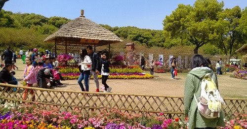 吳中勝境太湖明珠：蘇州上方山國(guó)家森林公園