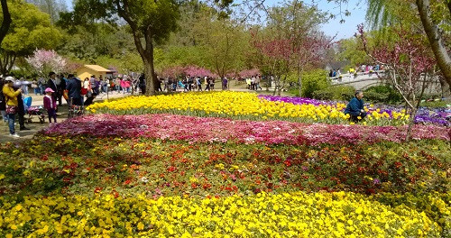 吳中勝境太湖明珠：蘇州上方山國(guó)家森林公園