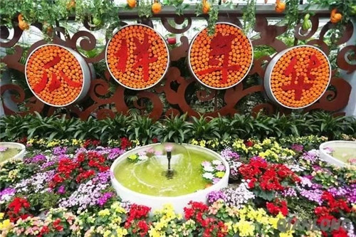 5招教你解決休閑農(nóng)業(yè)和鄉(xiāng)村旅游同質(zhì)化問題
