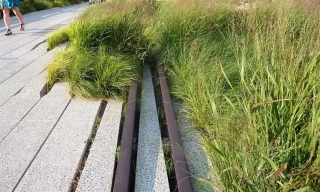高線公園為什么兩奪asla大獎？