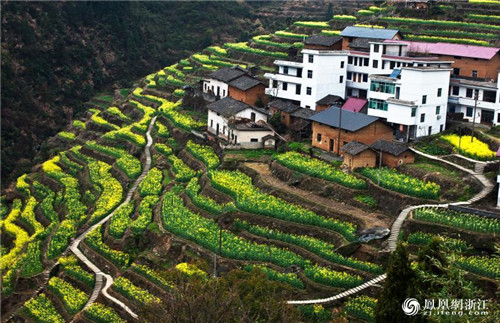 開化亮出生物多樣性調(diào)查雄厚“家底”