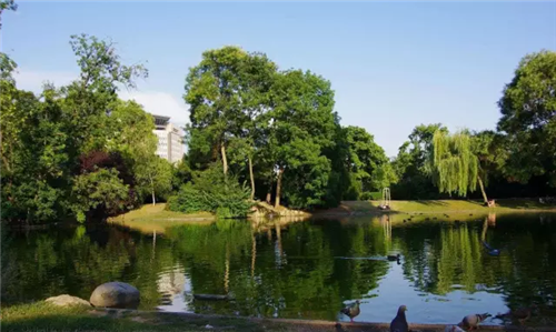 城市公園作為公共空間，如何展現(xiàn)城市魅力