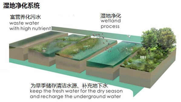 園冶杯專業(yè)獎：濟南章丘小東山濕地公園