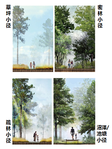 園冶杯專業(yè)獎：濟南章丘小東山濕地公園