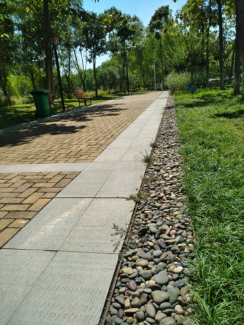 園冶杯專業(yè)獎：戴家湖公園生態(tài)修復(fù)工程